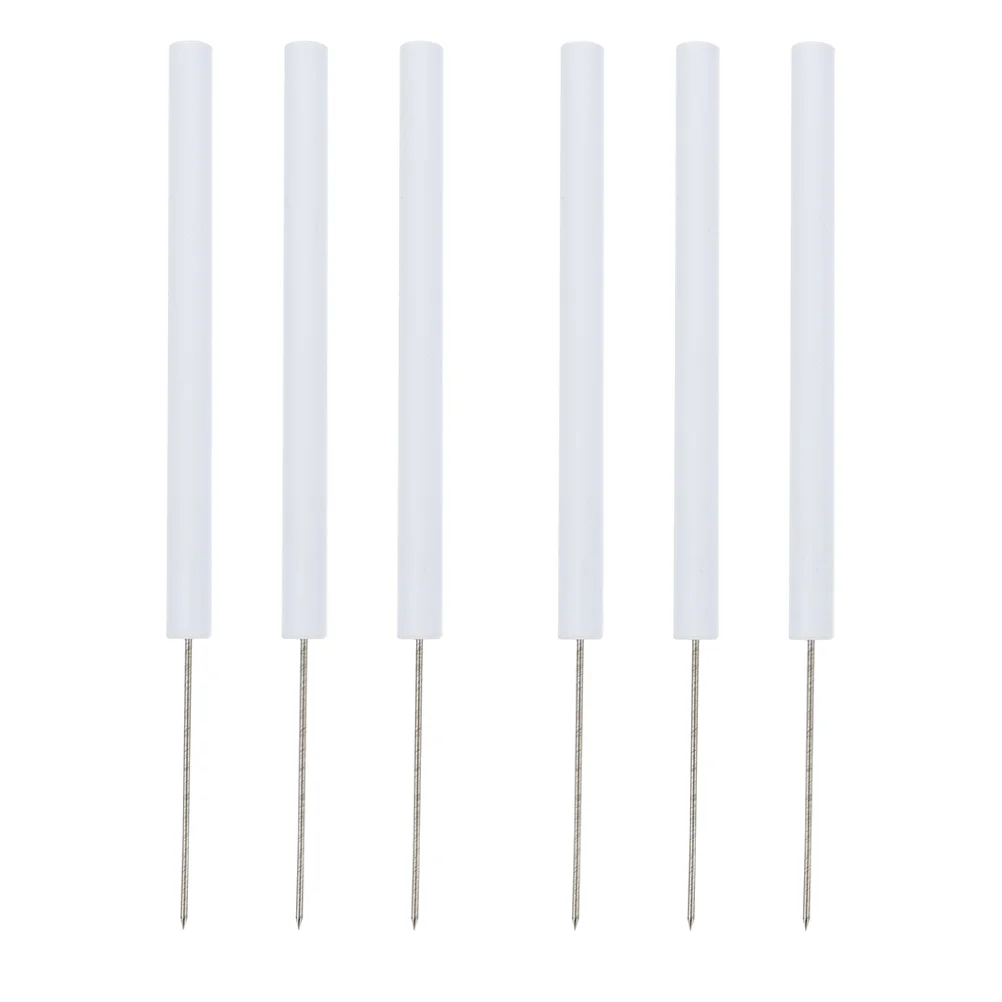 

6pcs Dissecting Needle School Straight Iron Experiment Dissecting Tool Teaching Tool Biological Needle