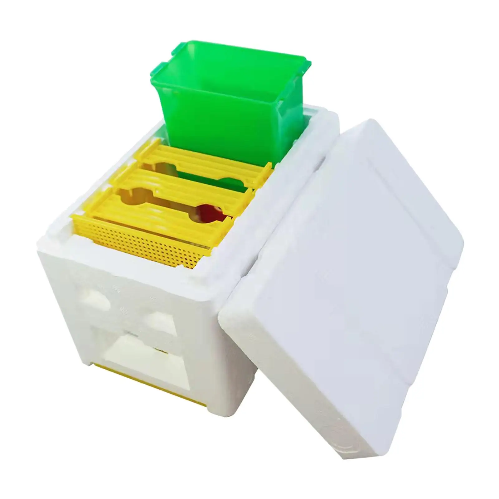 

Bee Pollination Box, Bee Queen Rearing System , Plastic Beehive Stand Breeding Set, Frame Beehive Cultivating Box, Beehive