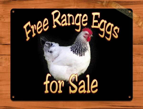 Плакат из олова с изображением яиц свободного радиуса действия 20 - Цена: 