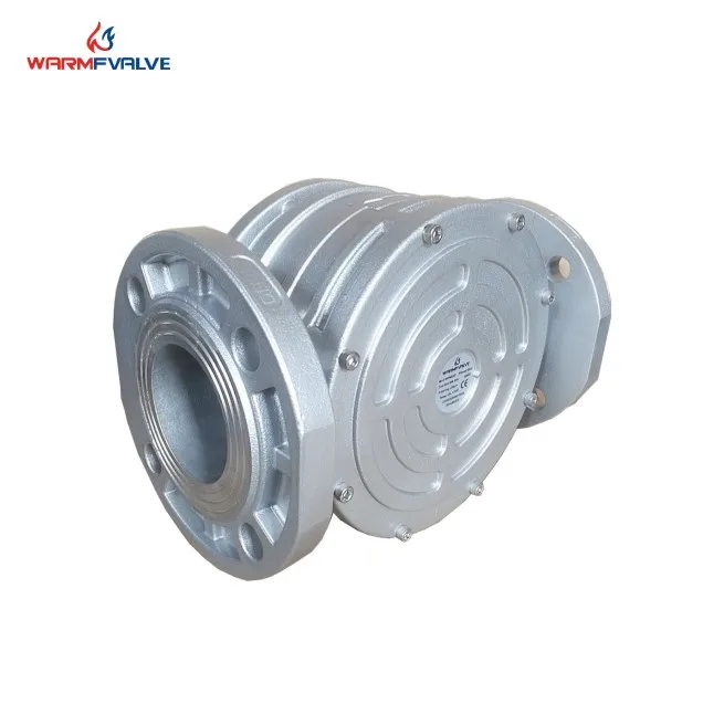 

Газовый фильтр DN65/F фильтр очистителя PN16