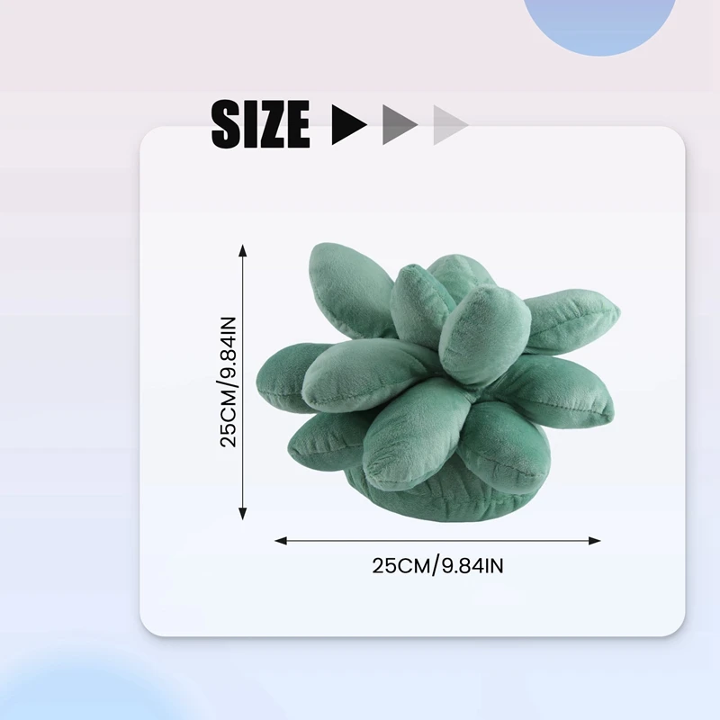 Суккуленты подушка суккуленты планкуленты милые для сада или зеленых влюбленных