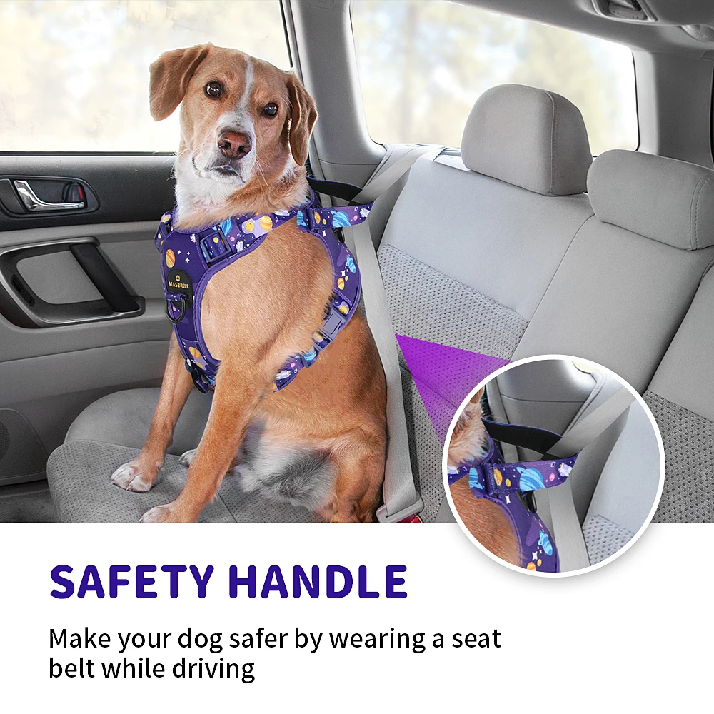 Шлейка MASBRILL для собак регулируемый светоотражающий жилет не тянется прогулок на