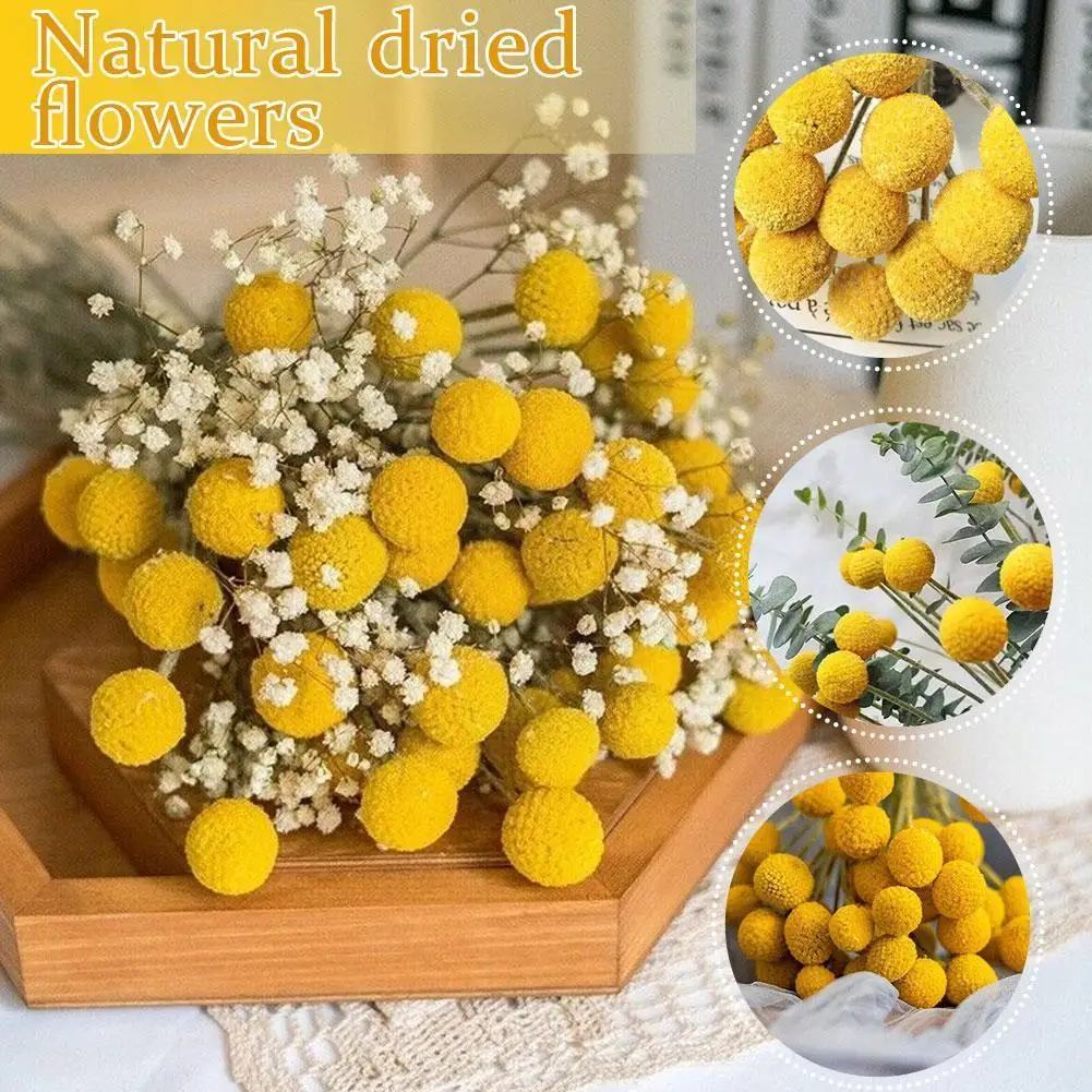 Christmas Decor Yellow Billy Balls Natural Dried Eternell Orbs Craspedia Forever Bouquets Gold Flower H9B7