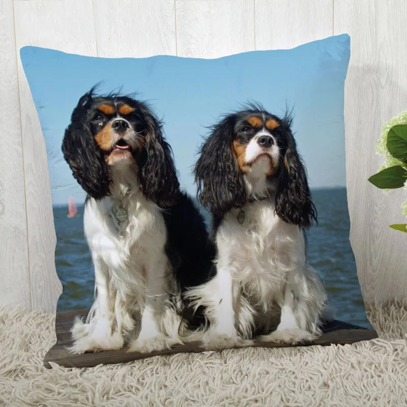 

Настраиваемая декоративная подушка King Charles Spaniel, 45x45 см