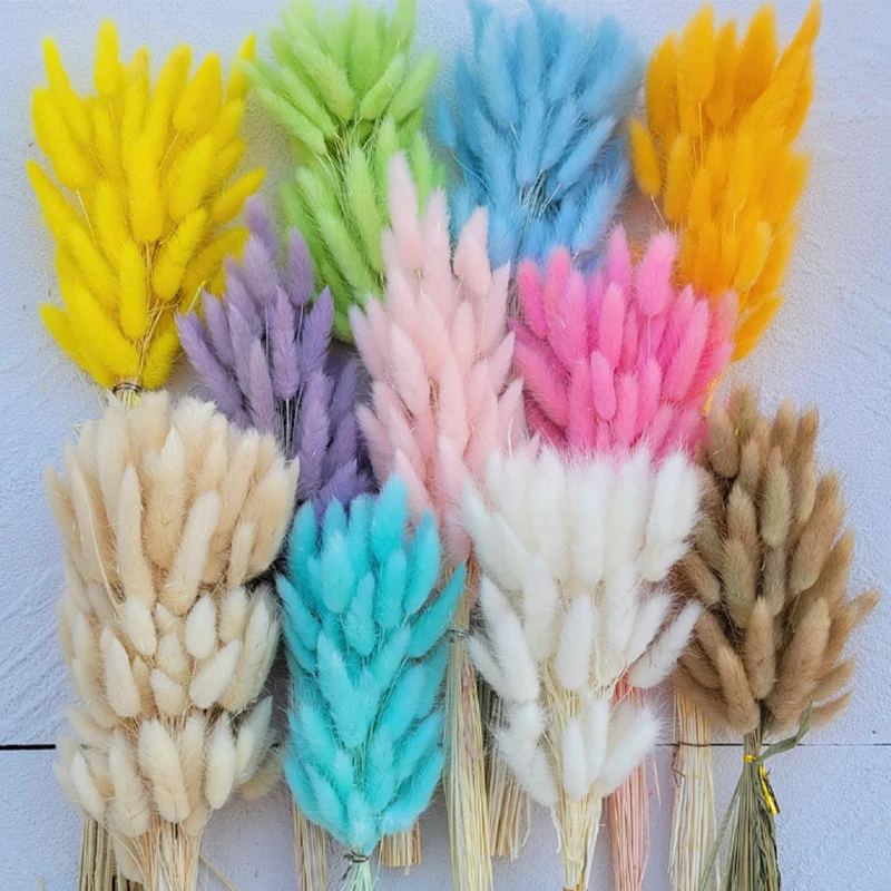 

LuanQI 30/60Pcs Natural Dried Flowers Rabbit Grass Colorful Dried Flowers Plants Dog Tail Grass Wedding Home Decor Real Flower