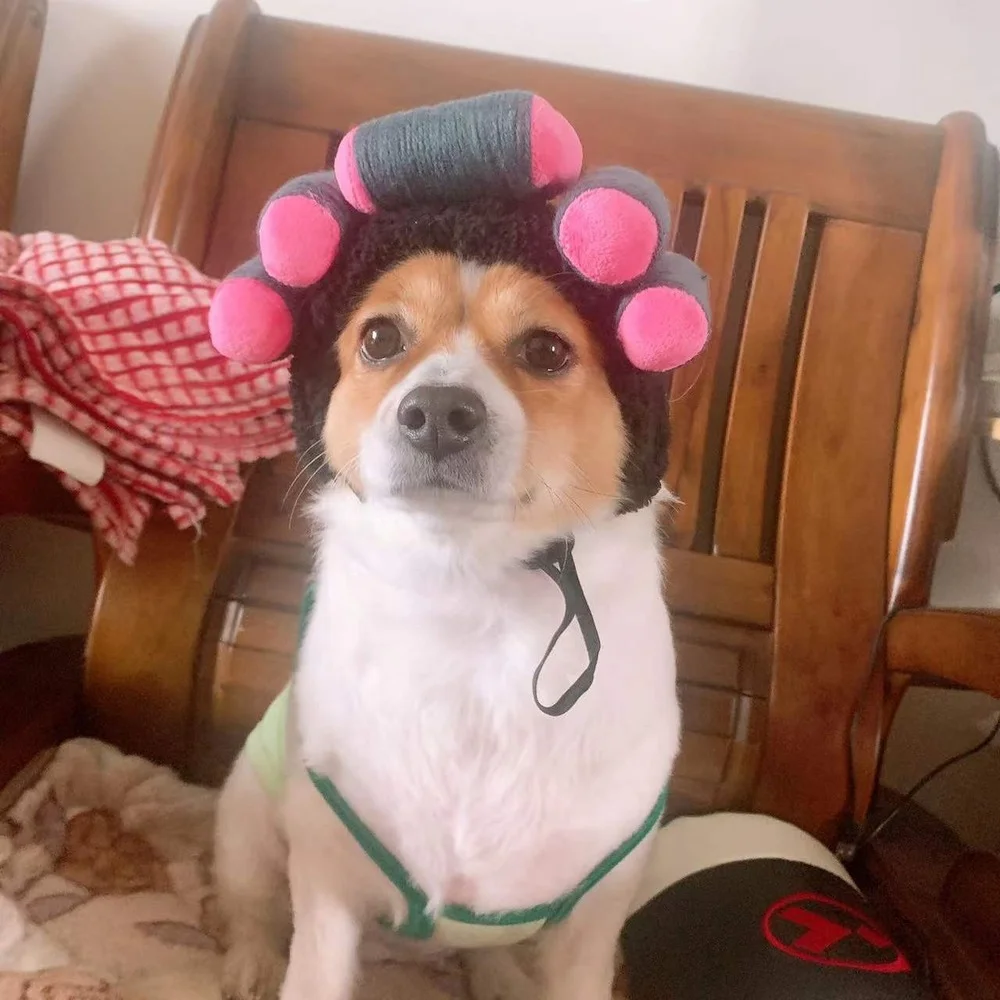 Новинка искусственные вьющиеся волосы INS прическа стрижка перекрестное платье