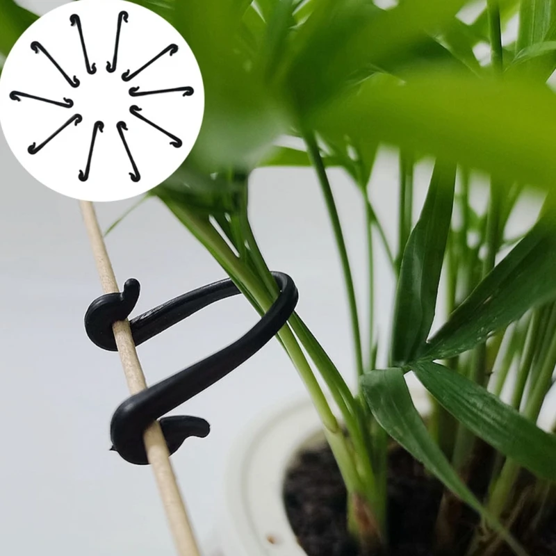 

50pcs Garden Plants Bundled Buckle Grape Vines Vegetable Strapping Clips Greenhouse Vegetables Stems Fixing Fasteners Tool