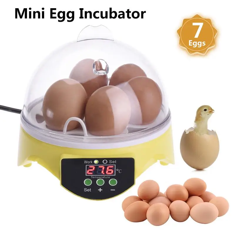 

Автоматический мини-инкубатор для яиц, инкубатор для домашних куриных цыплят с контролем температуры