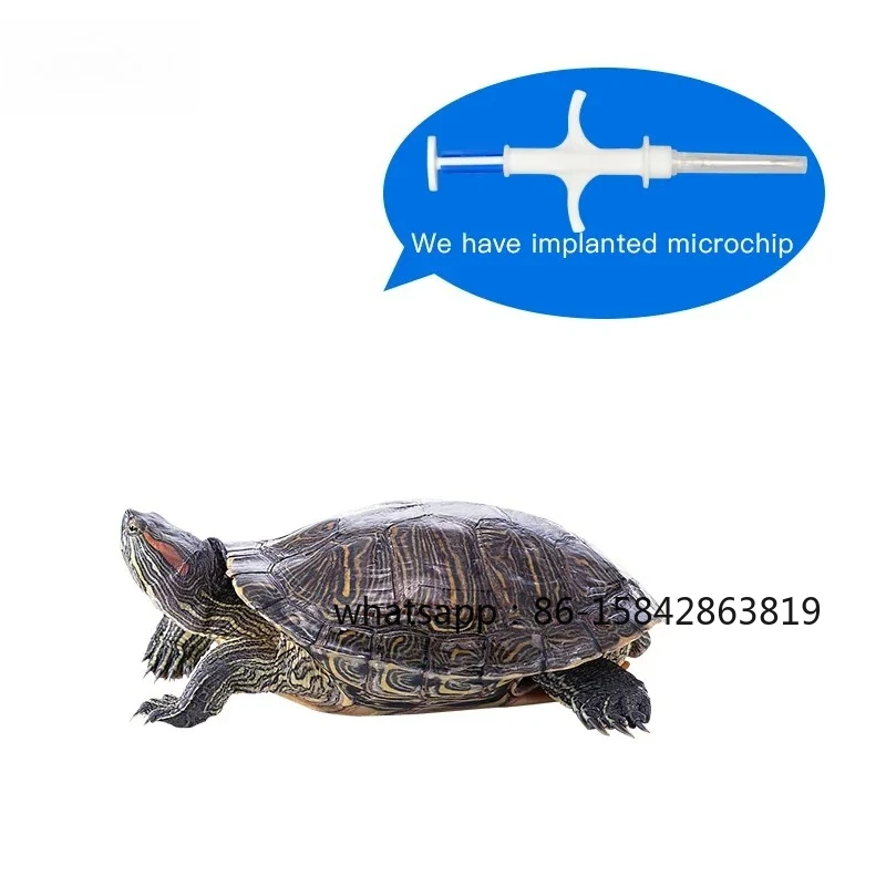 Фото 30 шт. 2,12*12 мм, 1,4*8 мм RFID-микрочипы для животных, мини-шприцы, EM4305 FDX-B 134,2 кГц, RFID-стеклянные метки для домашних животных, бирки для собак №3