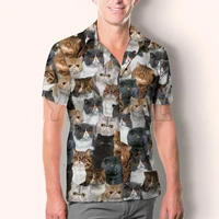 you will have a bunch of exotic cats hawaiian 3d all over printed hawaiian shirt mens for womens harajuku casual shirt unisex