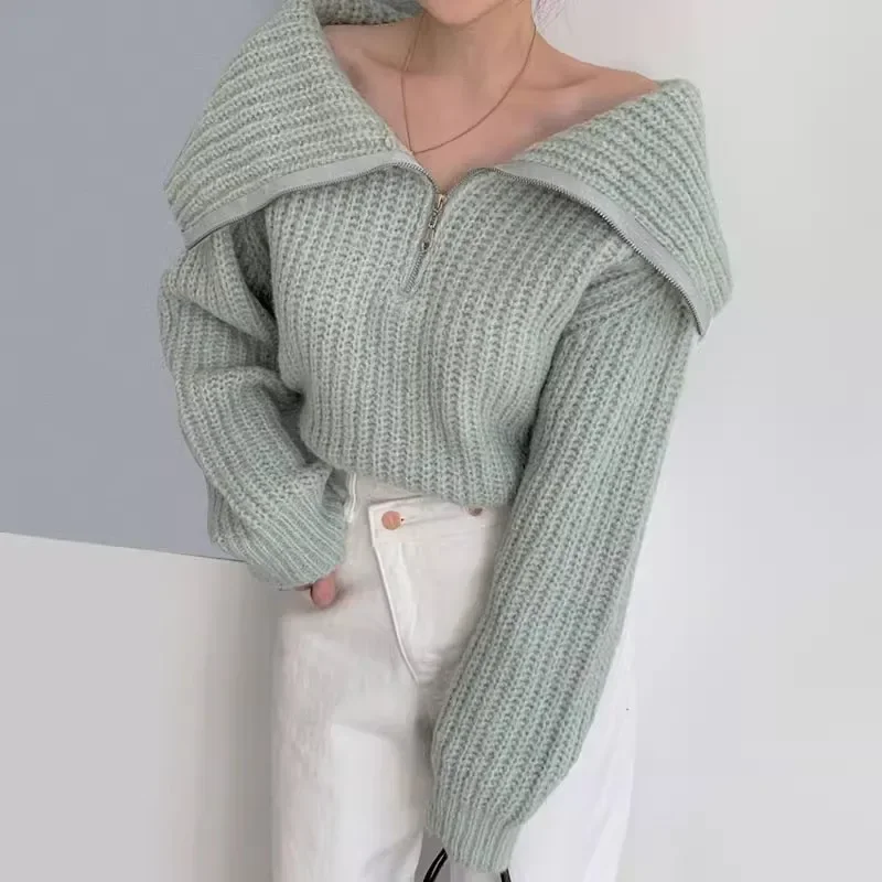 Chicfall/Зима Простой корейский стиль Большой лацкан молния дизайн Повседневный