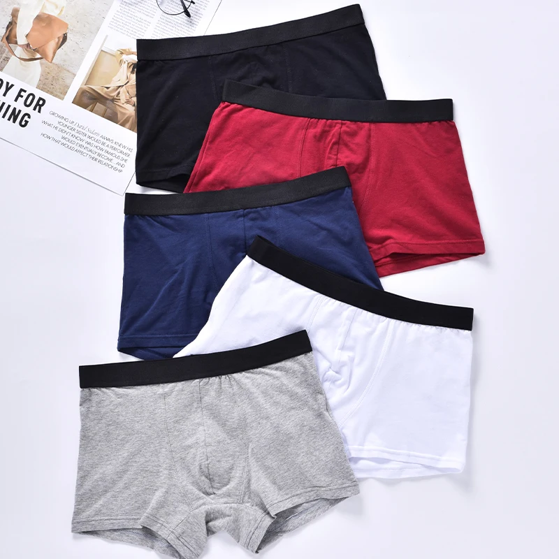 4pcs Boxer Male Panties Men's Underwear Boxers Man Cotton Sexy Set Solid Underpants Comfortable Brand BoxerShorts European Size