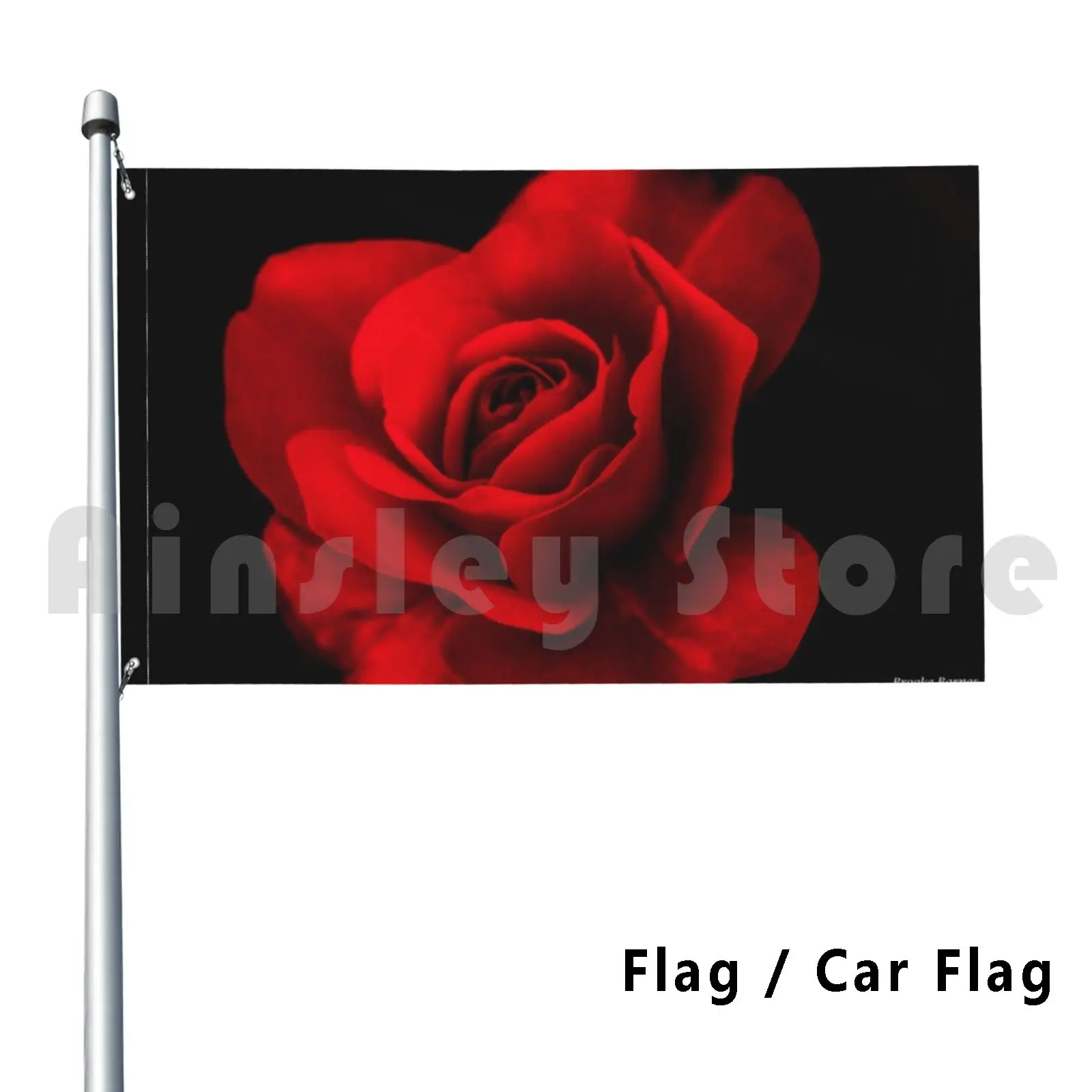 

Flag Car Flag Red Rose 2433 Photosbybrooke Nature Flowers Flower Rose Petals Romance Wedding Love