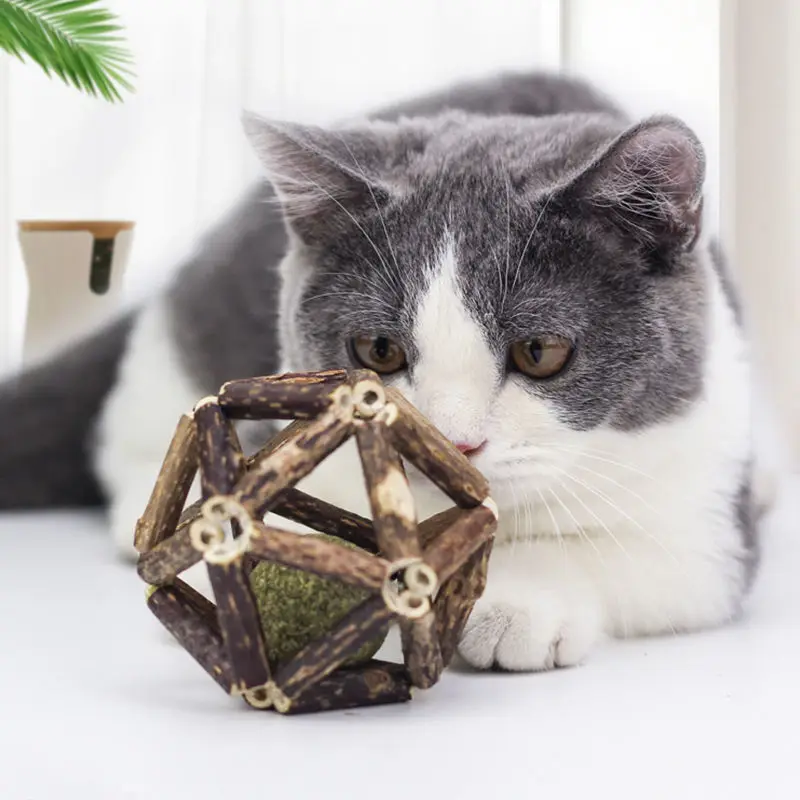 

Натуральная кошачья мята Pet Cat зубная паста для кошек Matatabi плод актинидии Silvervine для кошек палочки для чистки зубов домашних животных