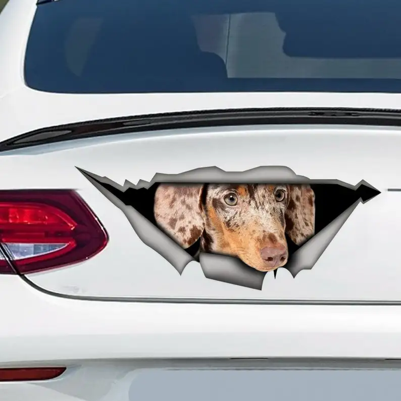 

Double chocolate mini dachshund decal, dachshund magnet, pet decal, dachshund sticker