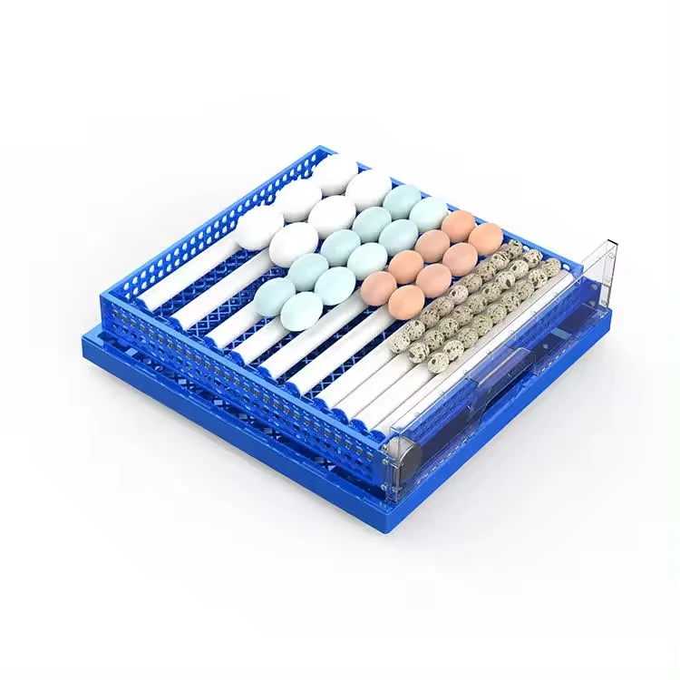Высококачественный 36 яиц/64 яиц/128/192/256 Перепелиных яиц инкубатор для