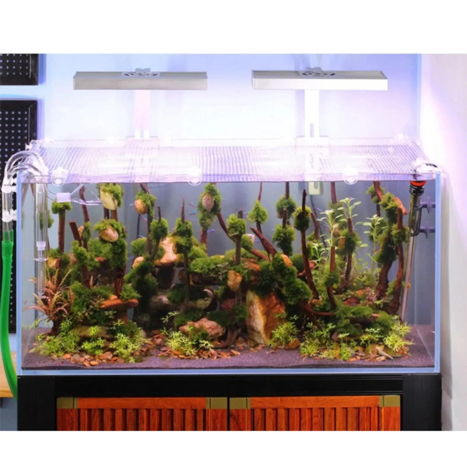 Улучшите свою безопасность аквариума с помощью высококачественного прочного