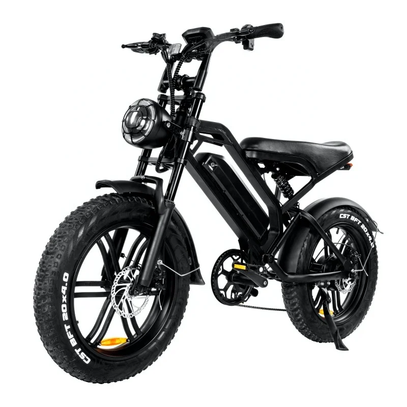 

USA EU Warehouse 750W Electric Bike 48V 15Ah Long Range City Mountain Electric Bicycle 20 Inch Electric Bike For Adult