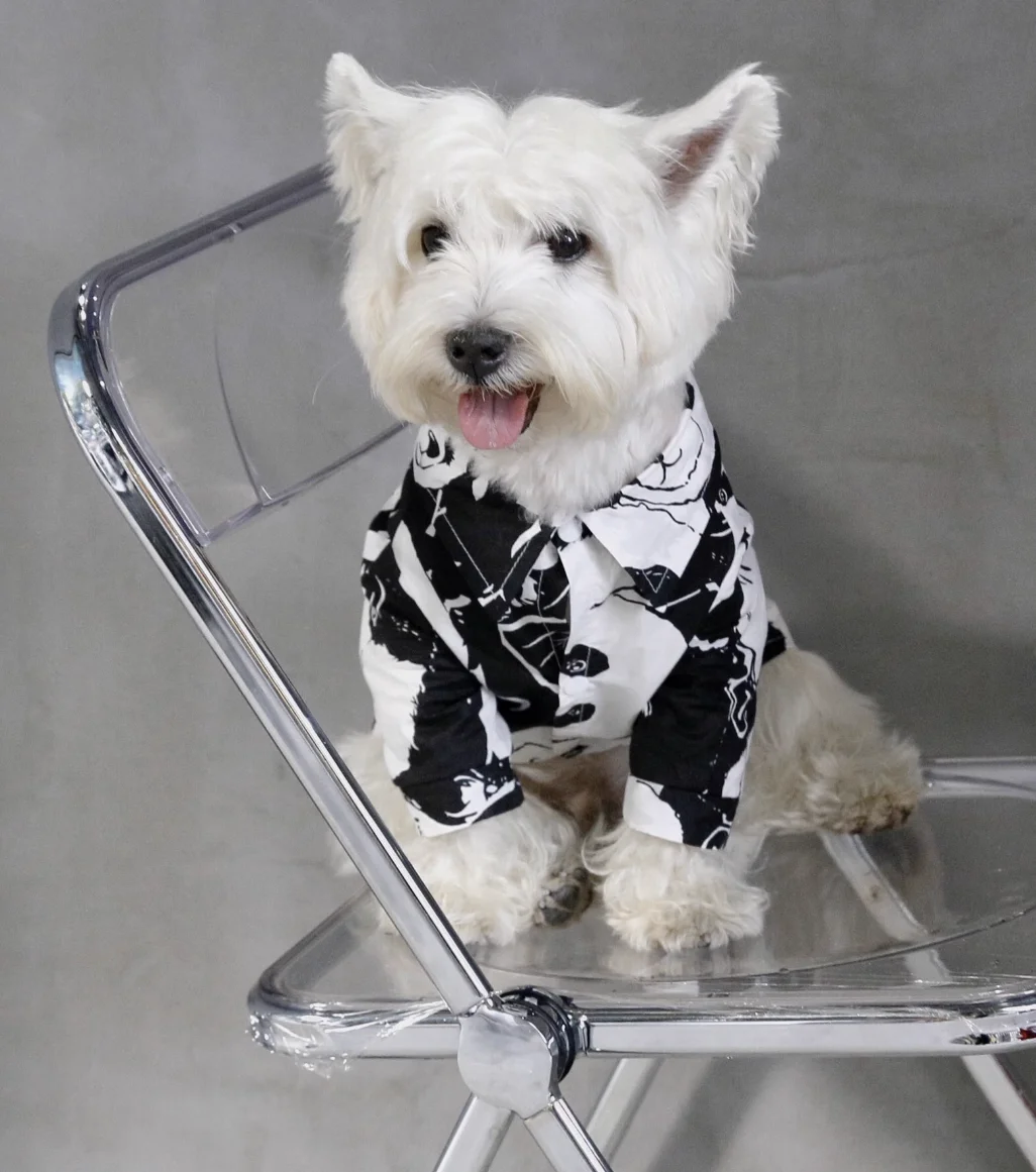 

Summer Pet Clothes Big Dog Shirt Schnauzer Welsh Corgi Shiba Inu Samoyed Husky Bull Terrier Labrador Golden Retriever Clothing