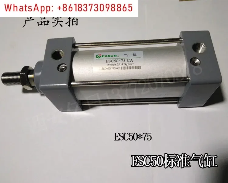 Цилиндр EASUN ESC50 * 25 50 60 65 75 100 125 150 160 S