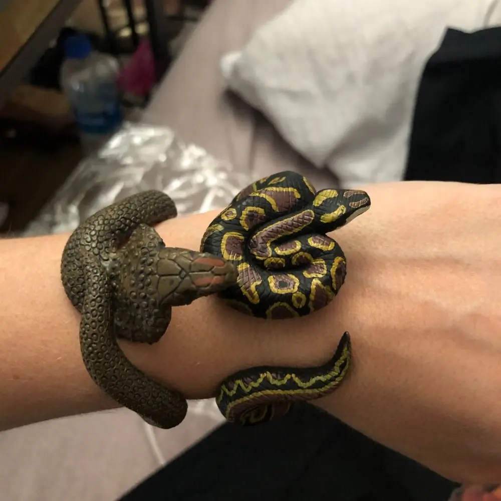 Модель животных