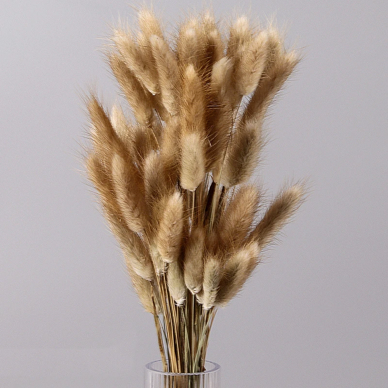 

Natural Dried Flower 60 Head Rabbit Tail Grass Dried Flower Bouquet Home Decoration Accessories Party Wedding Flower Arrangement
