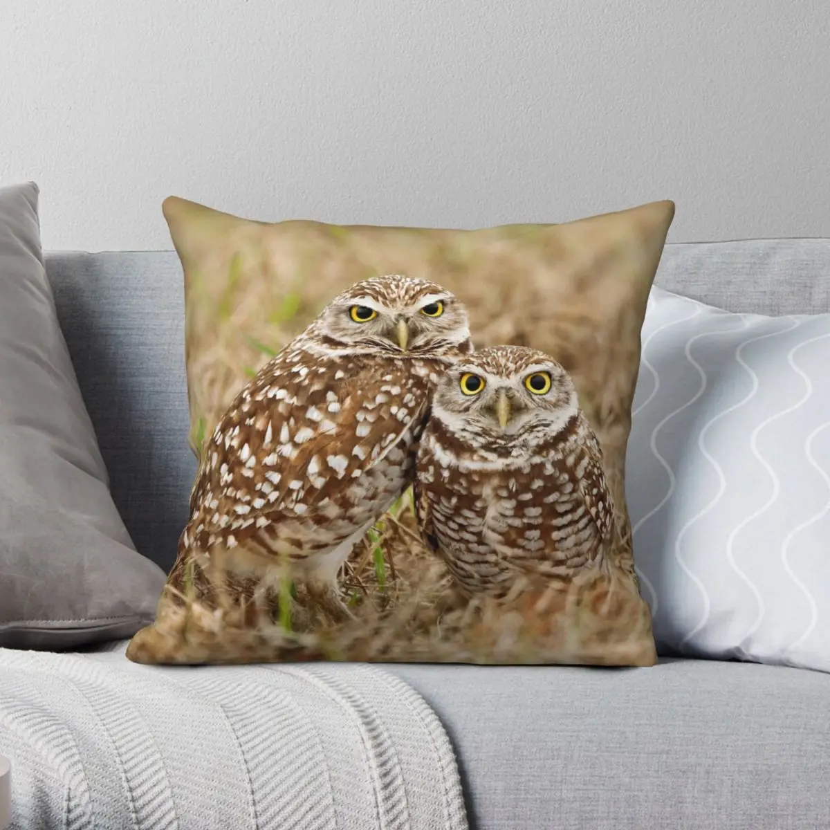 

Burrowing Owls Cape Coral Florida Square Pillowcase Polyester Linen Velvet Creative Zip Decorative Pillow Case Bed Cushion Case