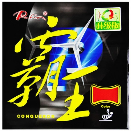 

Модернизированная версия Palio Conqueror