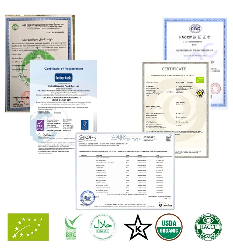 100% чистый Dan Shen Salvia Miltiorrhiza P.E.