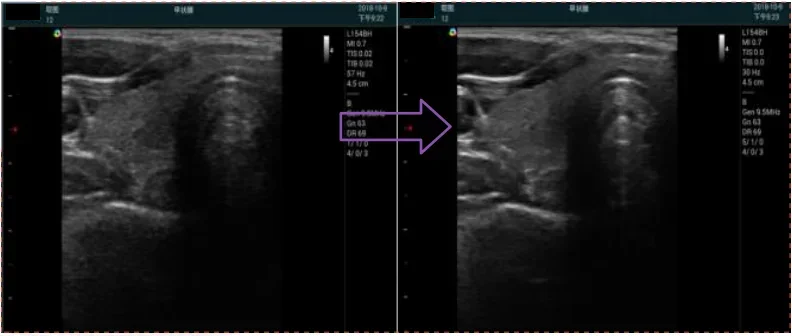 Рисунок 4 - Ветеринарное оборудование для ультразвукового