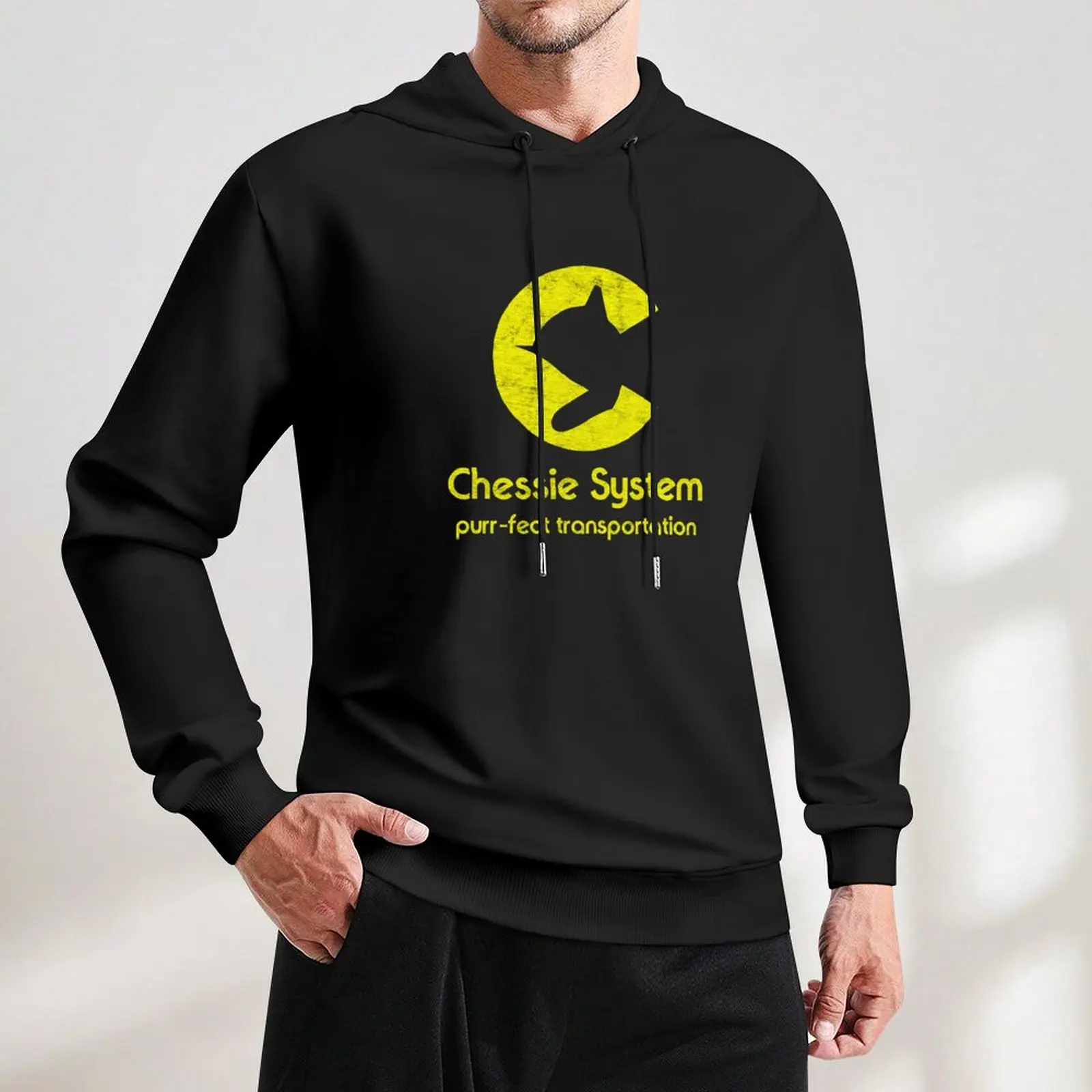 Пуловер с системой шахматки Railroad Purrfect Transportation толстовка капюшоном одежда в