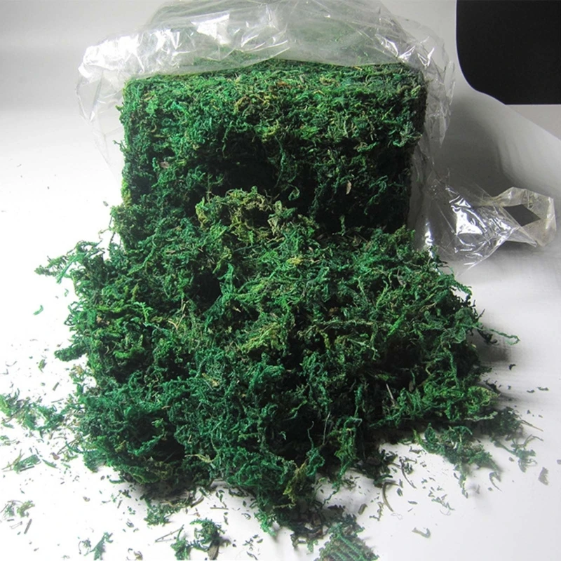 

400/600 г консервированный лесной мох, микро-ландшафт, сад, двор, газон на день рождения