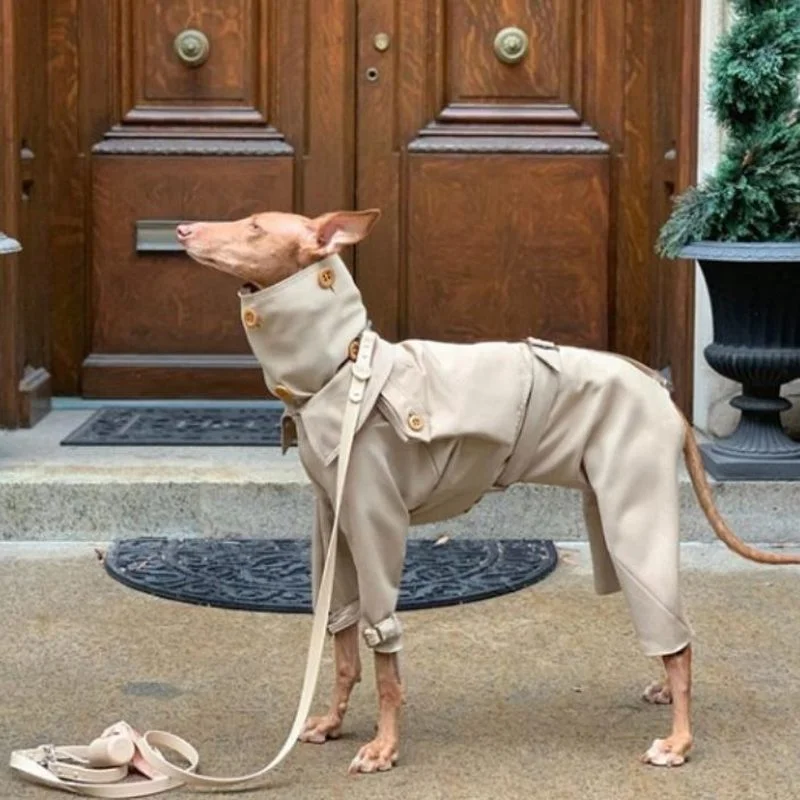 Роскошный комплект шлейки и поводка для домашних питомцев Воздухопроницаемый