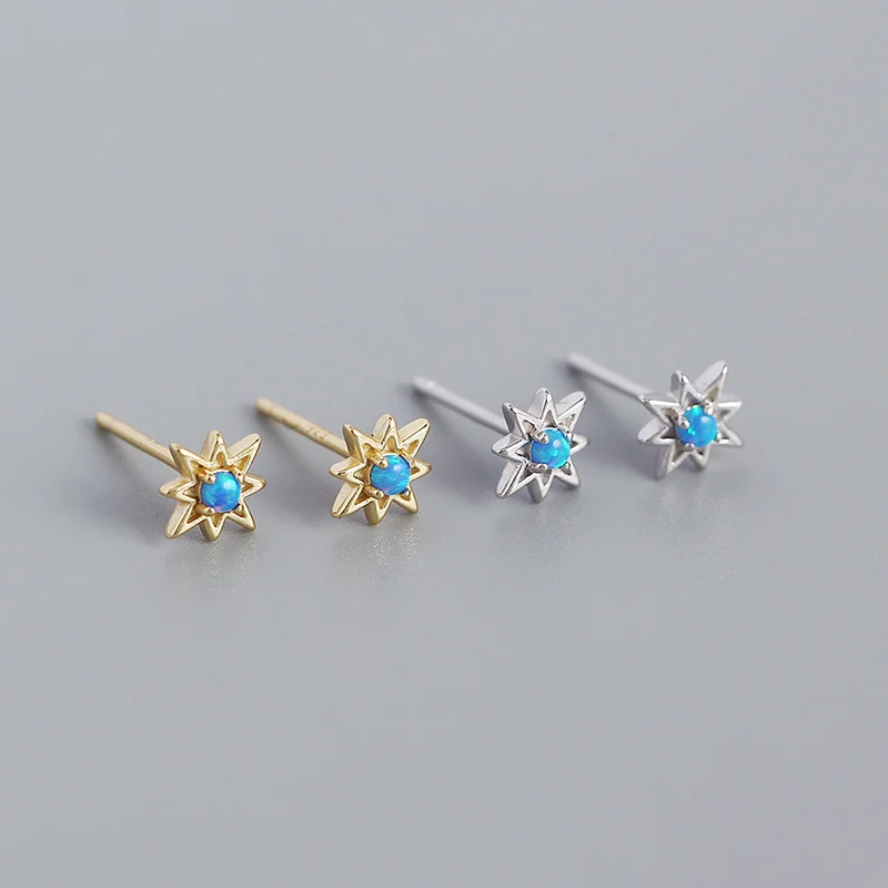 

Stud Earrings Octagonal Star Small Fresh Designer 925 Sterling Silver For Women Luxury Joias Ouro 18k Accessories Jewelry Fine