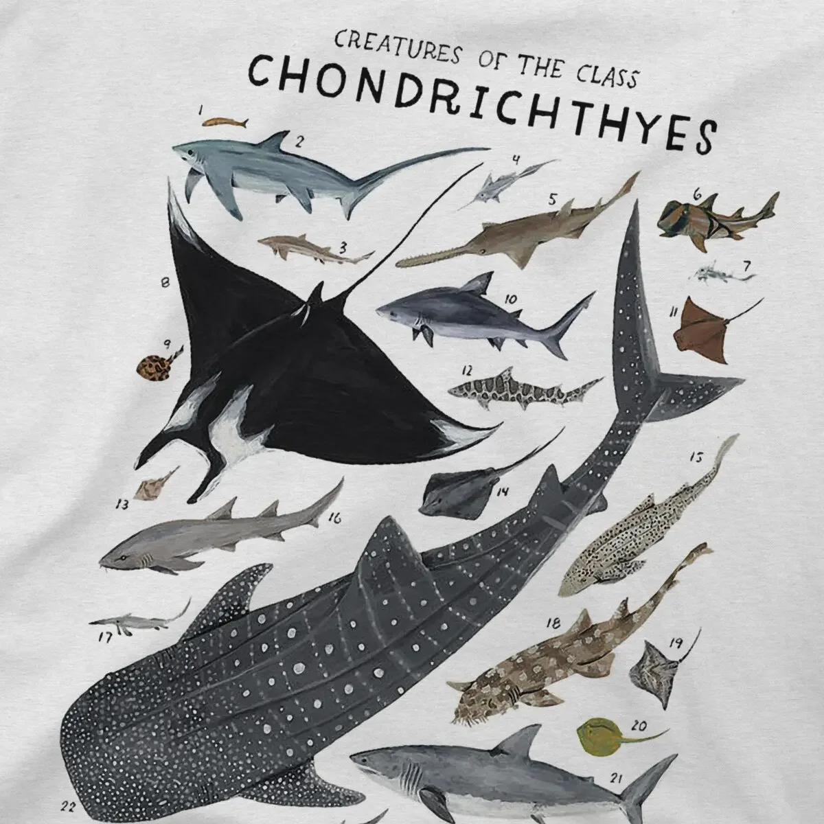 Летние футболки унисекс винтажные с морскими животными существа класса Chondrichthyes