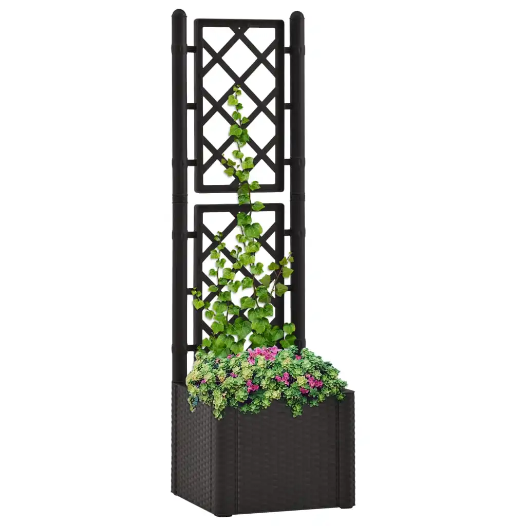 

Garden Raised Bed with Trellis and Self Watering System，Garden Planters, Patio Plant Pots, Anthracite