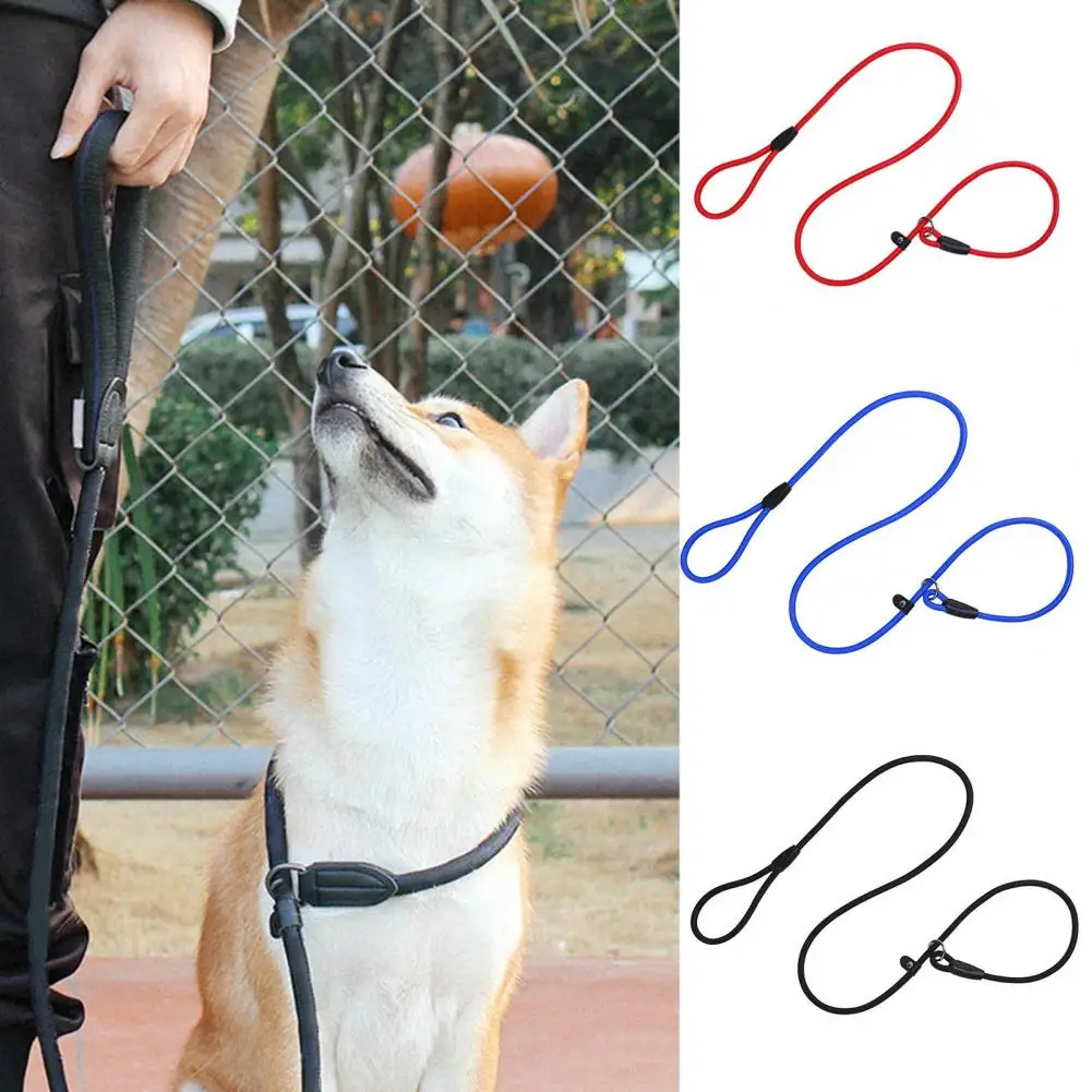 

Hot sales！Traction Leash P-shaped Chain Anti-bite Good Toughness Pet Dogs Traction Rope Pet Supplies