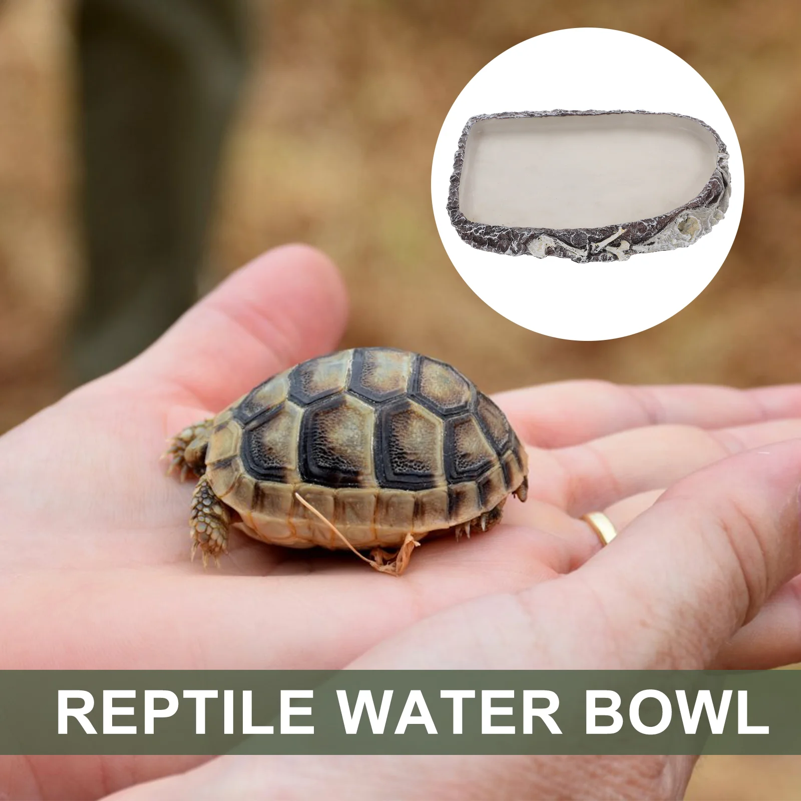 Ящерица Змея Бассейн для воды Рептилия Миска еды Смола Блюдо Животное Борода