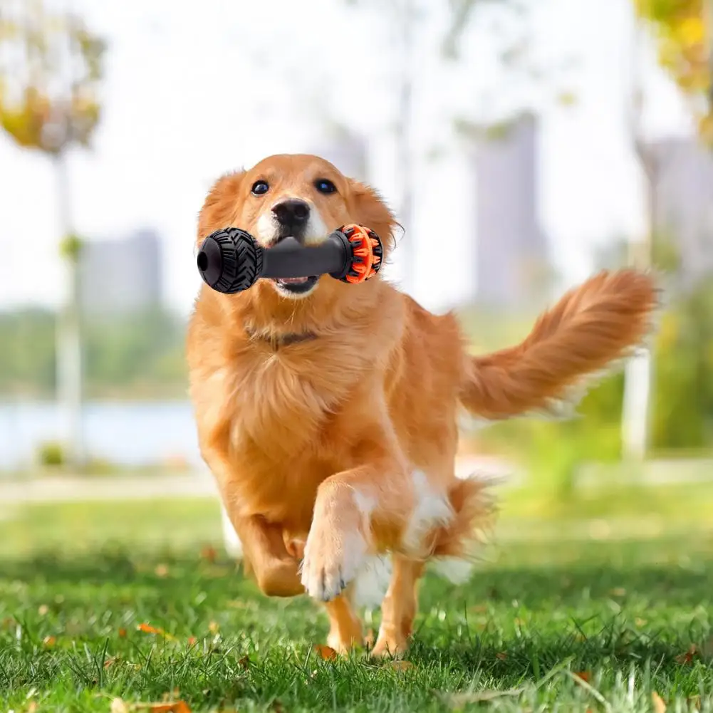 

Barbell Shape Pet Toy Pet Chew Toy with Treat Holder Durable Pet Chew Toys for Teeth Cleaning Treat Dispensing Supplies for Dogs