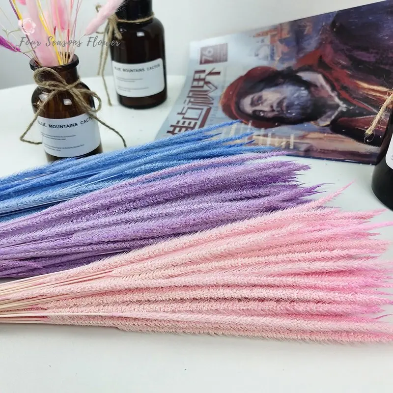 

60pcs Dried Goldenrod Natural Preserved Flowers Bouquet Country Wedding Decorationt For Home Boho Style DIY Flower Arrangement