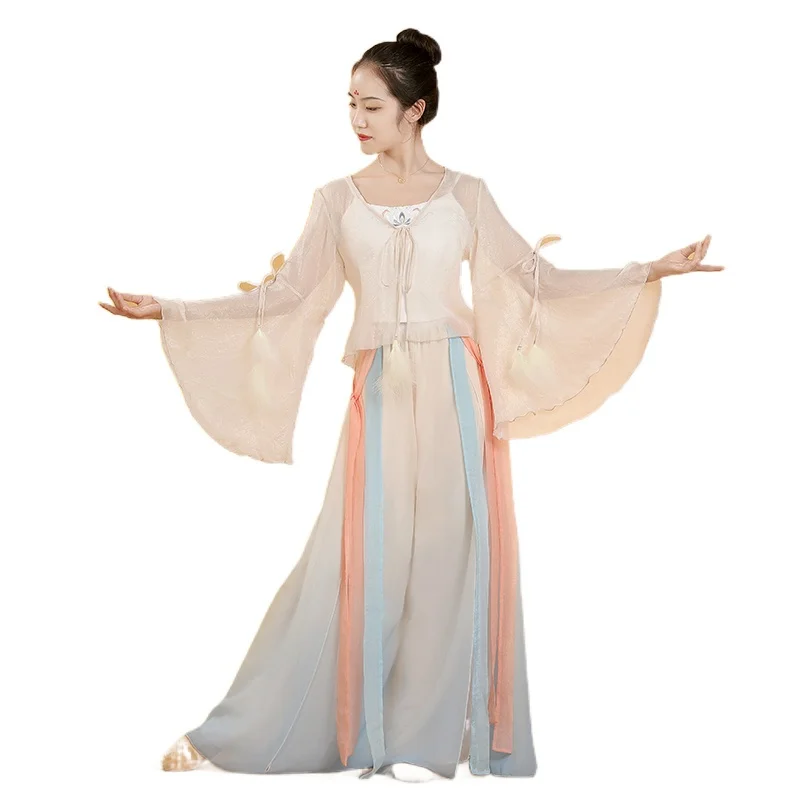 

Classical Dance Costume Practice Costume Elegant Immortal Folk Dance Modern dance Chinoiserie Body Charm Gauze Costume