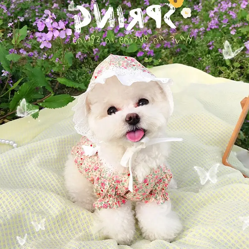 

Милая летняя одежда для собак, Цветочная стандартная шляпа, Солнцезащитная шляпа для кошек, чихуахуа, Йорков, померанского бишона, пуделя, ш...