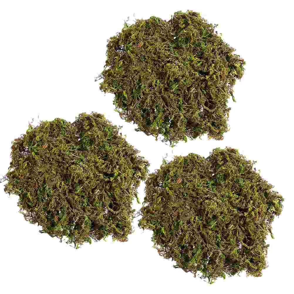 

Fake Greenartificial Forfaux Preserved Pot Simulation Garden Diy Craft Dried Flowerpotted Lichen Decor Floral Terrarium Crafts