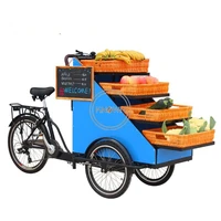 fruit carts street mobile selling stall food cart trailer electric tricycle cargo bike