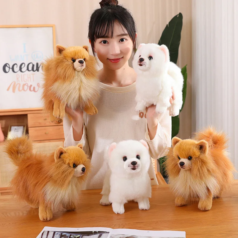 

Premium Simulation Pomeranian Dog Plush Toy Cute Stuffed Animals High Quality Puppy Plushies Doll Cartoon Soft Kids Toys Gifts