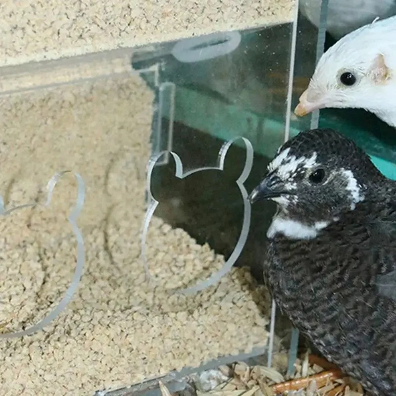 Коробка для кормления попугаев акриловый контейнер без беспорядка коробка еды с