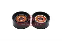 

25138664.1 for KAYIS tensioner bearing CF85 f105 XF105 05 XF95