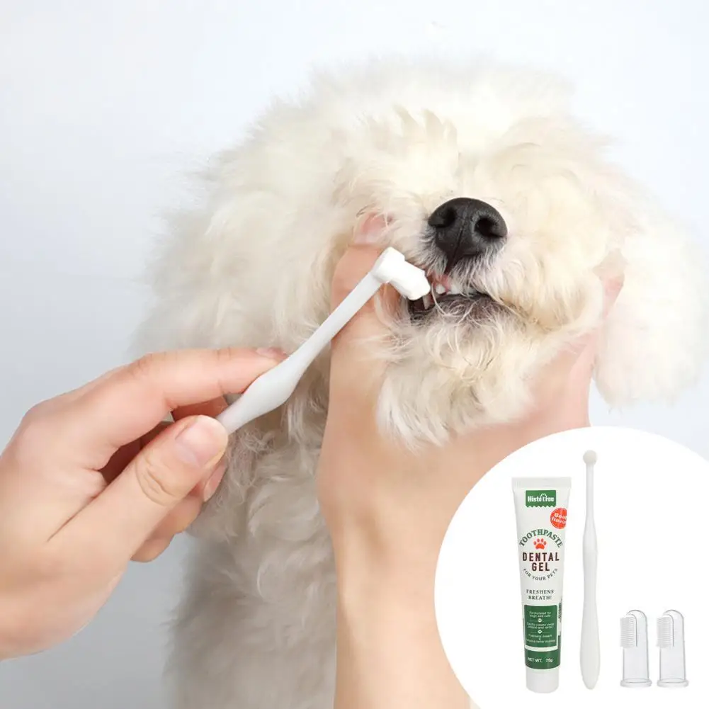 

Teeth Caring Portable Pet Toothpaste Dog Tooth Cleaning Products Pet Supplies