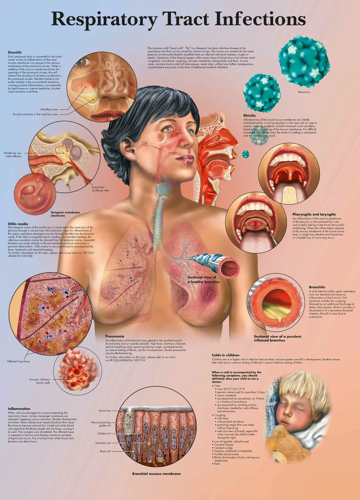 

Шелковый постер с рисунком из дыхательных путей и инфекций, домашний Настенный декор