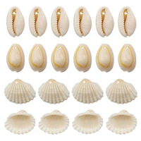 electroplated perforated natural shell conch pendant charms for jewelry making diy bracelet necklace earring anklet accessories